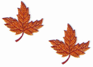 Brown Fall Leaves Patch