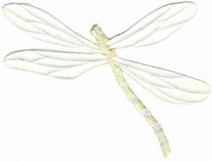 4" White Dragonfly Patch – Sheer Wings Embroidered Applique Insect Nature Iron-On DIY Craft