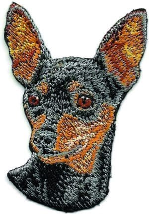 Miniature Pinscher Dog Head Iron-On Patch – 2½" Tall Black & Tan Embroidered Applique for Jackets, Hats & Crafts